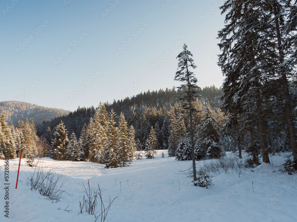 Schöne verschneite Landschaften der bayerischen Berge. Sutten-Alm zwischen Tannenwäldern und Wiesen am oberen Ende des Tals der Rottach richtung Valepp
Schöne verschneite Landschaften der bayerischen Berge. Sutten-Alm zwischen Tannenwäldern und Wiesen am oberen Ende des Tals der Rottach richtung Valepp