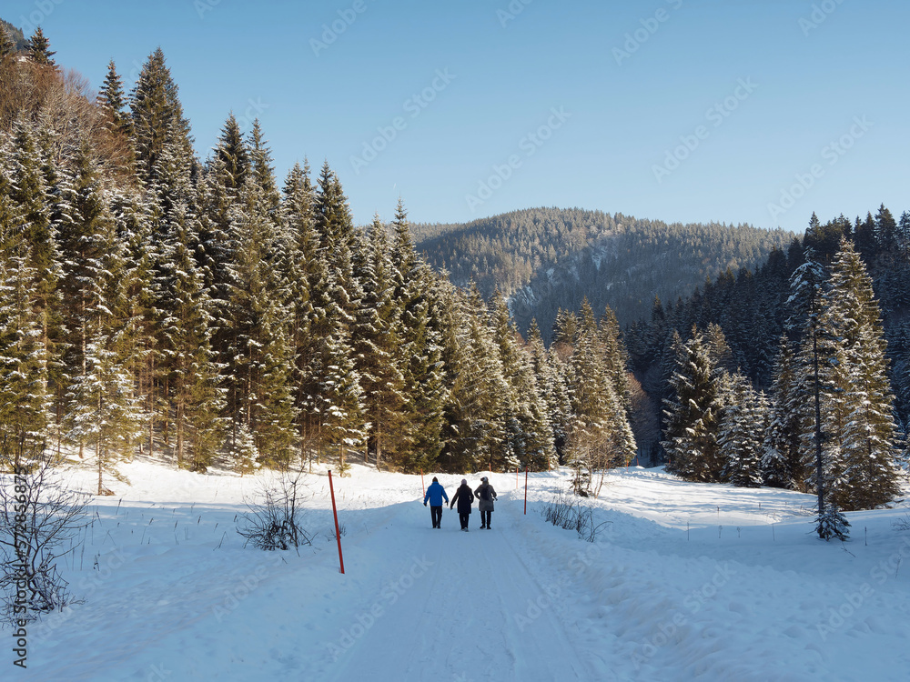 Suttengebiet und Valepptal. Wunderbare Wanderung in verschneiter Waldweg oberhalb des Suttensees am oberen Ende des Tals der Rottach umgeben von bayerischen Bergen