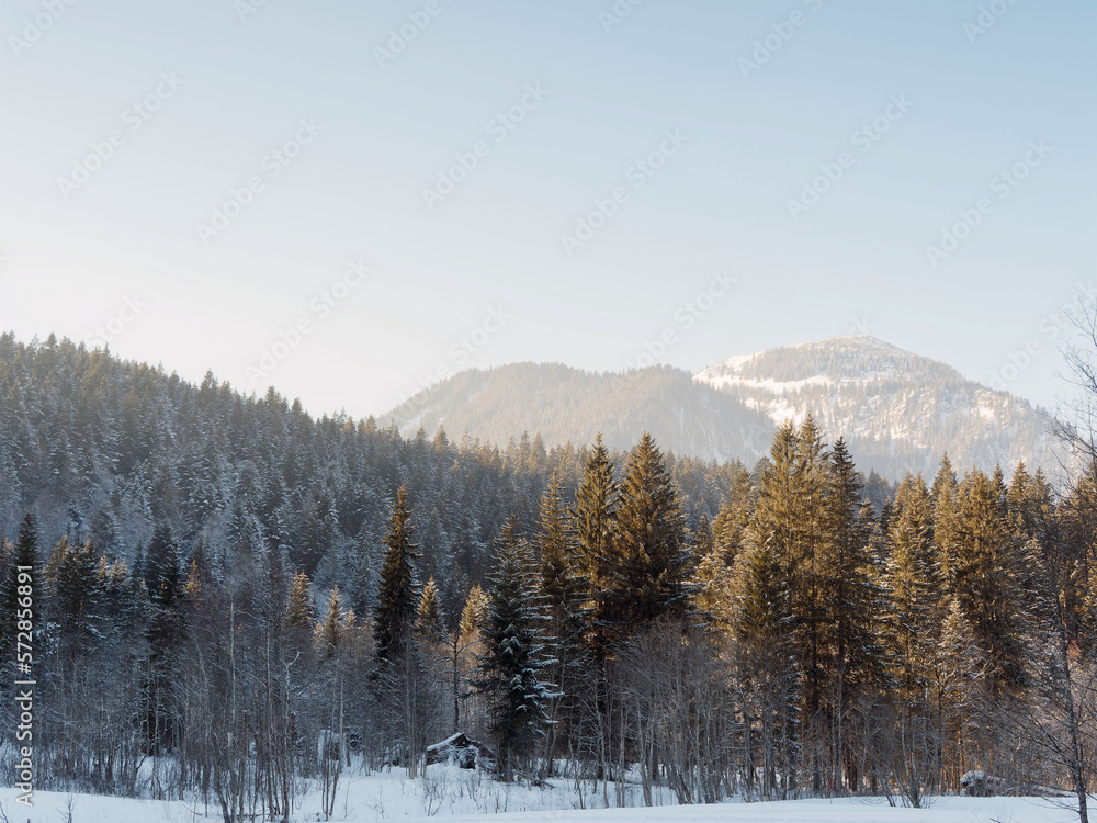 Suttensee im Rottachtal. Langlaufloipe und Skigebiet in Landschaft aus schneebedeckten Wäldern und Mooren unterhalb von Wallberg