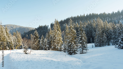 Schöne verschneite Landschaften der bayerischen Berge. Sutten-Alm zwischen Tannenwäldern und Wiesen am oberen Ende des Tals der Rottach richtung Valepp
