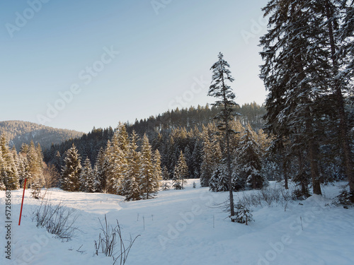 Schöne verschneite Landschaften der bayerischen Berge. Sutten-Alm zwischen Tannenwäldern und Wiesen am oberen Ende des Tals der Rottach richtung Valepp 