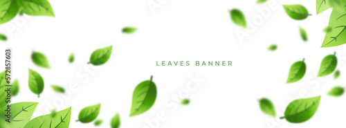 background banners. colorful  leaves pattern