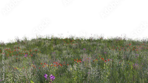 春の草原 花咲く草原 春の花咲く草原 透過png	