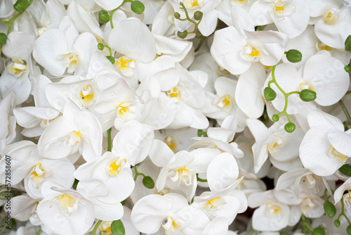 close up artificial white orchid flower in the market