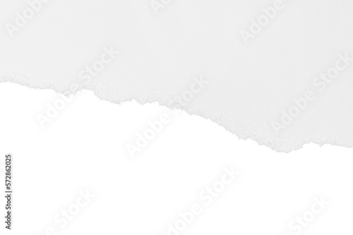 Torn white paper with shadow. Isolated