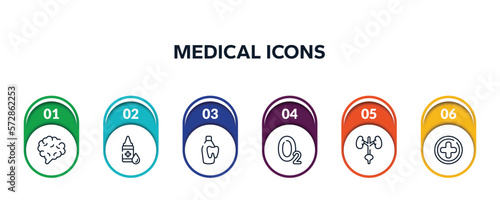 medical icons outline icons with infographic template. thin line icons such as brain body organ, drop of liquid, dentist bottle with liquid, oxygen, excretory system, hospital medical vector.