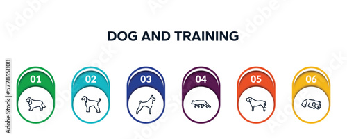 dog and training outline icons with infographic template. thin line icons such as english cocker spaniel, afghan hound, boxer, snowshoe cat, mastiff, dog sleeping vector.