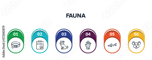 fauna outline icons with infographic template. thin line icons such as dog leads, dog health list, cone of shame, grooming glove, big shark, mouse head vector.