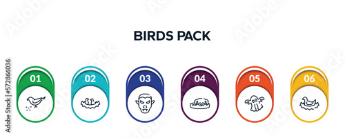 birds pack outline icons with infographic template. thin line icons such as bird eating seeds, birds in nest, vampire, dog resting, ghost, bird in nest vector.