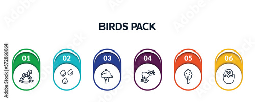 birds pack outline icons with infographic template. thin line icons such as horse rocker black, raindrops, hat for a jockey, birds couple, plain tree, bird in broken egg vector.