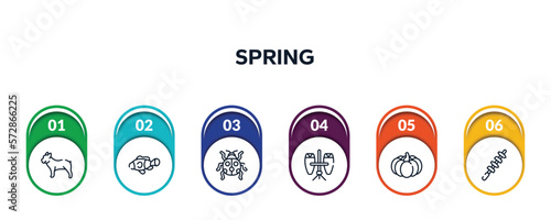 spring outline icons with infographic template. thin line icons such as bulldog, clown fish, ladybird, conga, pumpkin, skewer vector.