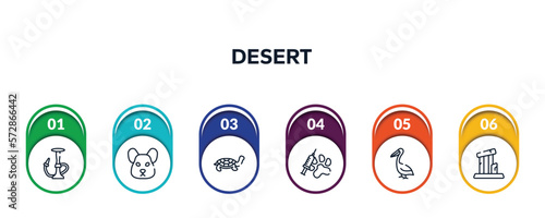 desert outline icons with infographic template. thin line icons such as hookah, hamster, tortoise, vaccine, pelican, relics vector.