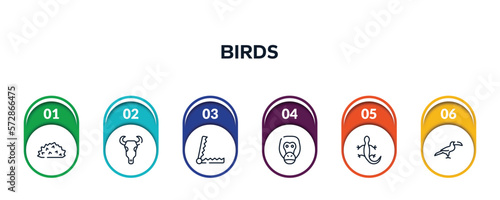 birds outline icons with infographic template. thin line icons such as hive, bull skull, trap, orangutan, lizard, toucan vector.