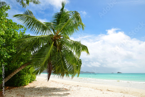 Tropical sand beach Anse Volbert with turquoise sea in the island Praslin, Seychelles, Indian Ocean, Africa.
