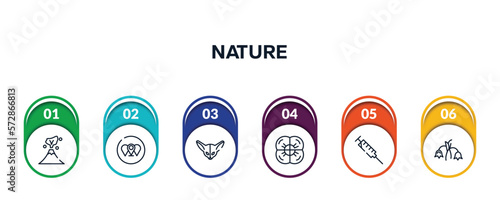 nature outline icons with infographic template. thin line icons such as volcano, branches, fennec, poppy, syringe, harebell vector.