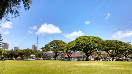 City Park In Hawaii. Beautiful day. Blue Sky