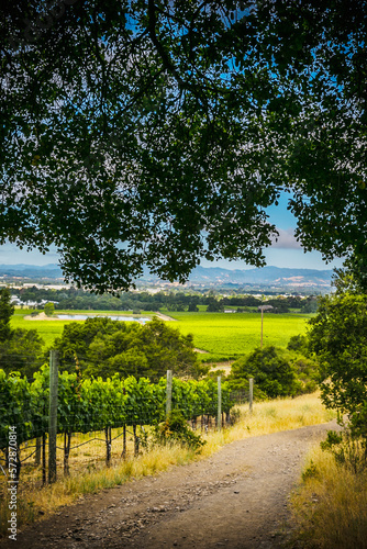 Scenery with dirt road and fence in Shiloh Ranch Regional Park photo