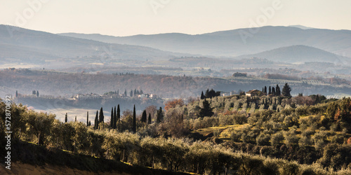 Tuscan landscape with olive groves, Tuscany, Italy photo