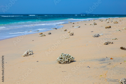 Deserted sandy beach. Sumbawa. Indonesia. photo