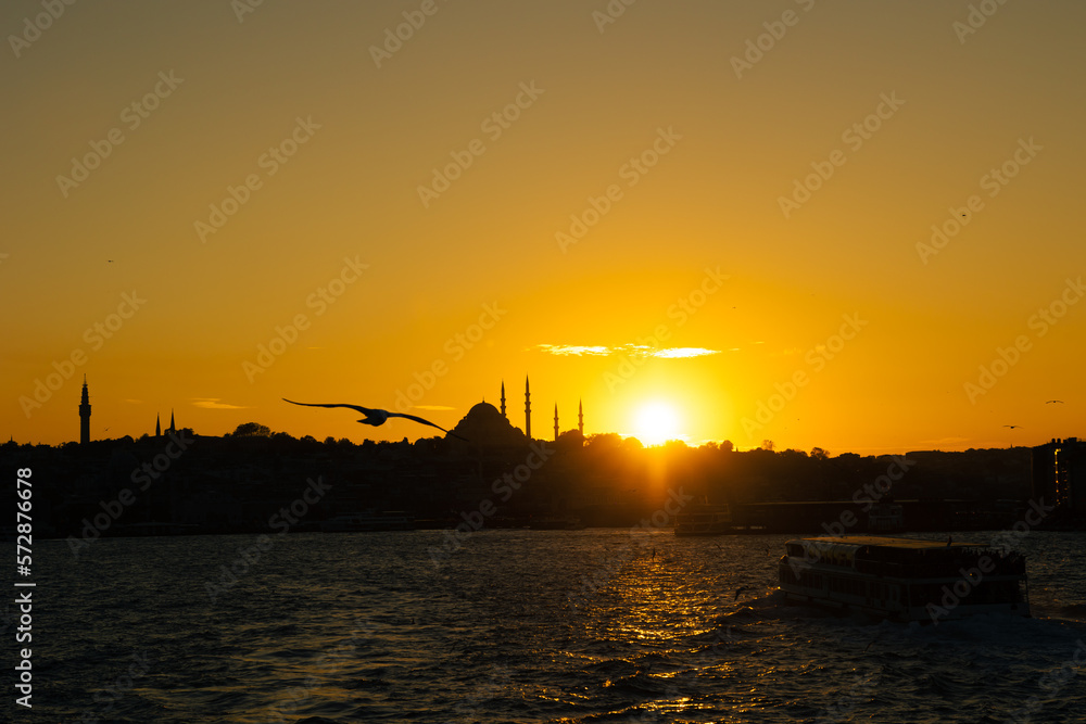 Istanbul view. Seagull and Suleymaniye Mosque. Ramadan or islamic concept