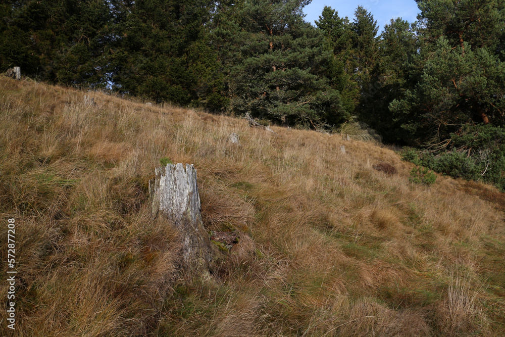 Speyside way - Long distance walking trail - Speyside - Highlands - Scotland - UK