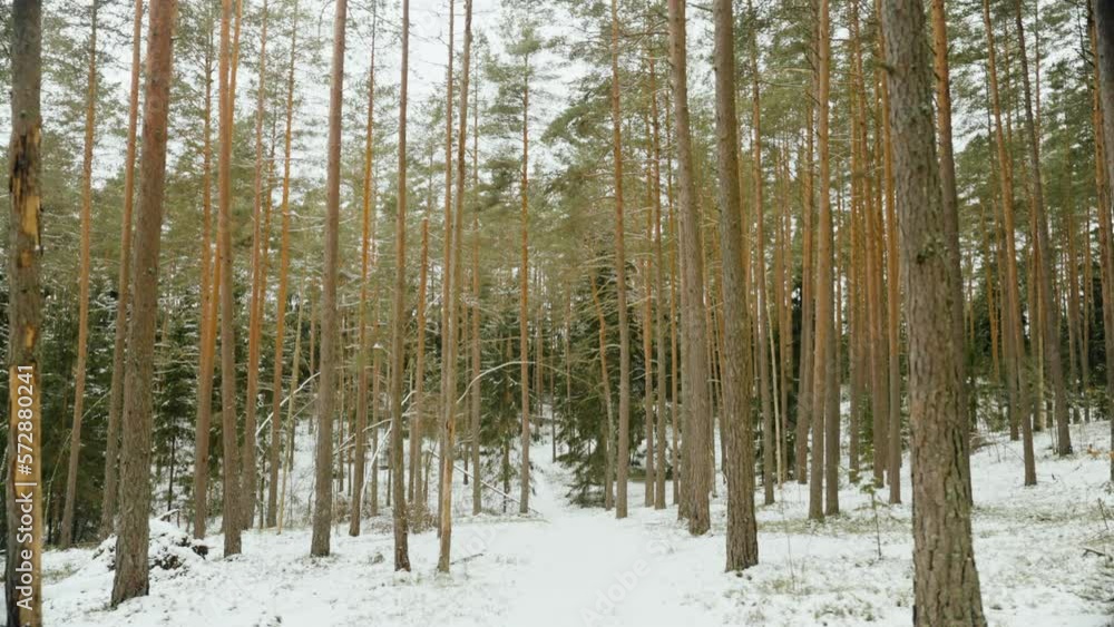 Ogre of Latvia in the month of February Ogre of Latvia in the month of February
