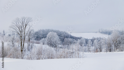 霧氷した木々と雪原　冬の北海道　美瑛 © Yuuki Kobayashi