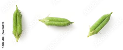 Fresh green sesame pods isolated on the white background, top view.