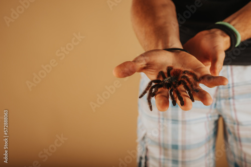 Close up of some man holding tarantula