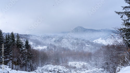 snow covered mountains