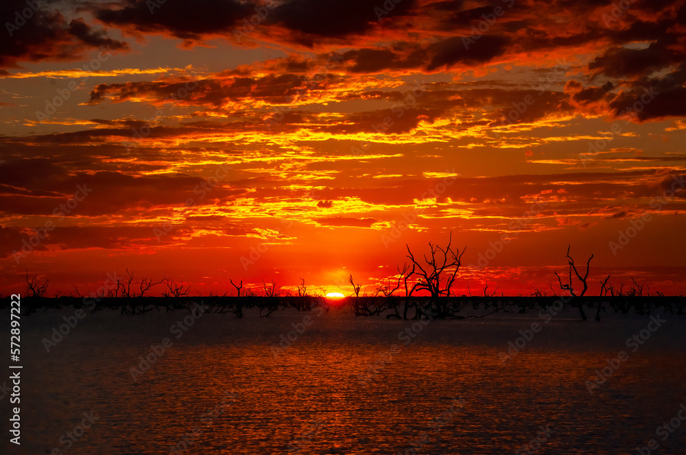Menindee Australia, sun disappearing over horizon with orange sky and silhouette of dead trees in lake