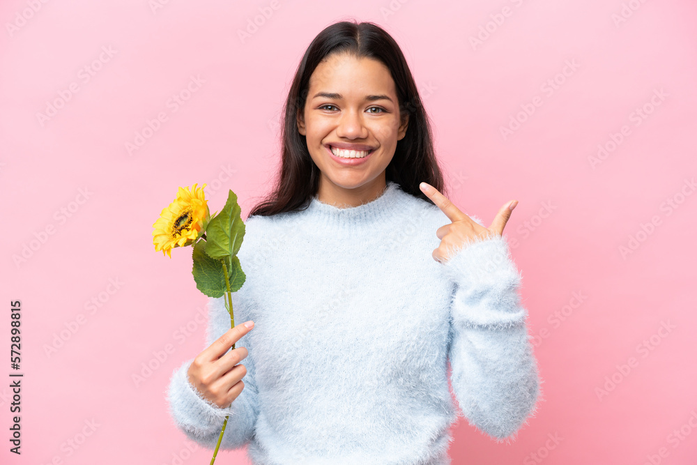 Young Colombian woman holding sunflower isolated on pink background giving a thumbs up gesture Young Colombian woman holding sunflower isolated on pink background giving a thumbs up gesture