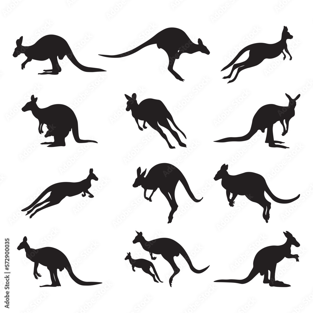 Set kangaroo silhouette vector illustration. Set kangaroo silhouette vector illustration.