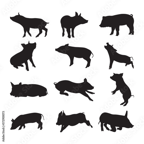 Set pig silhouette vector illustration.