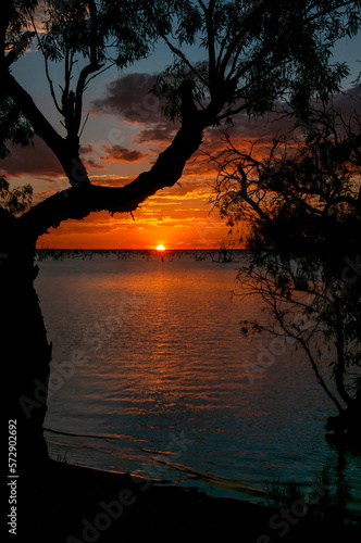 Menindee Australia, sunset framed by silhouette of tree branch