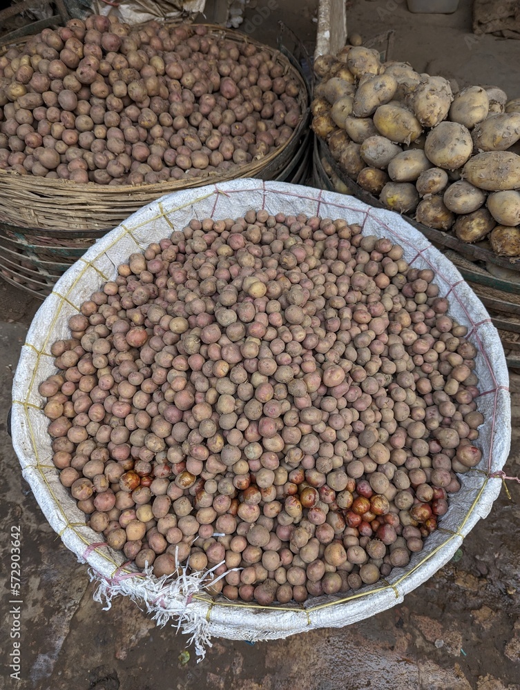 Obraz premium A lot of potato in a bucket