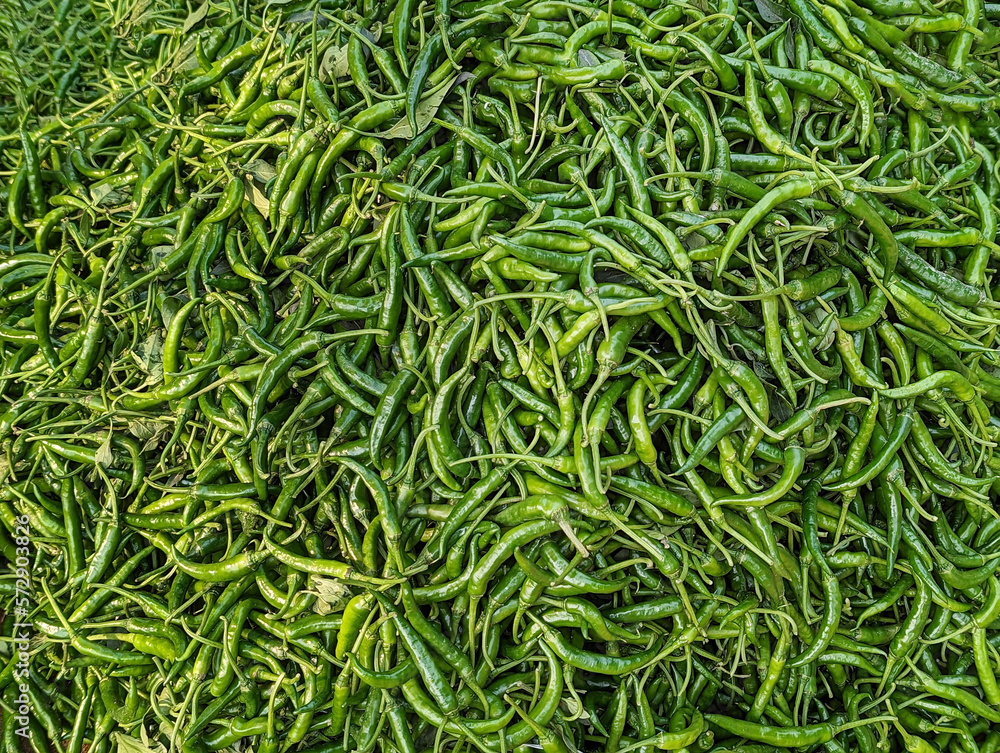 Close up of green chilies and used as one of the main spices in cooking. A lot of fresh unripe peppers stacked in a street shop for sale. Close up of green chilies and used as one of the main spices in cooking. A lot of fresh unripe peppers stacked in a street shop for sale.