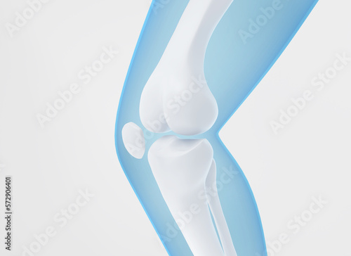 Human Leg bone, healthy Knee joint Medical or healthcare concept background, 3d rendering. photo