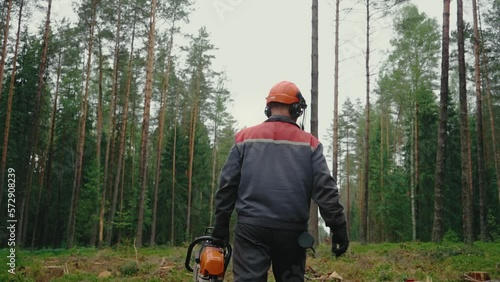 Backside view of an axeman walking among the trees photo