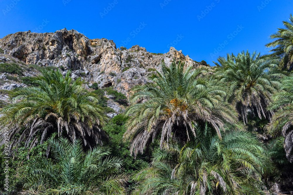 Palmenhain von Preveli an der Südküste von Kreta