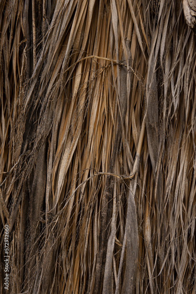eco friendly background of palm leaves. boho style. eco friendly background of palm leaves. boho style.