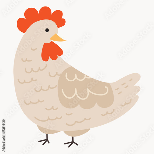 Chickens set vector illustration in Color. Brown and white Hen and Rooster. Male and female chickens set