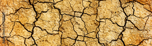 Drought Concept. Close-up panoramic shot of an arid land land.