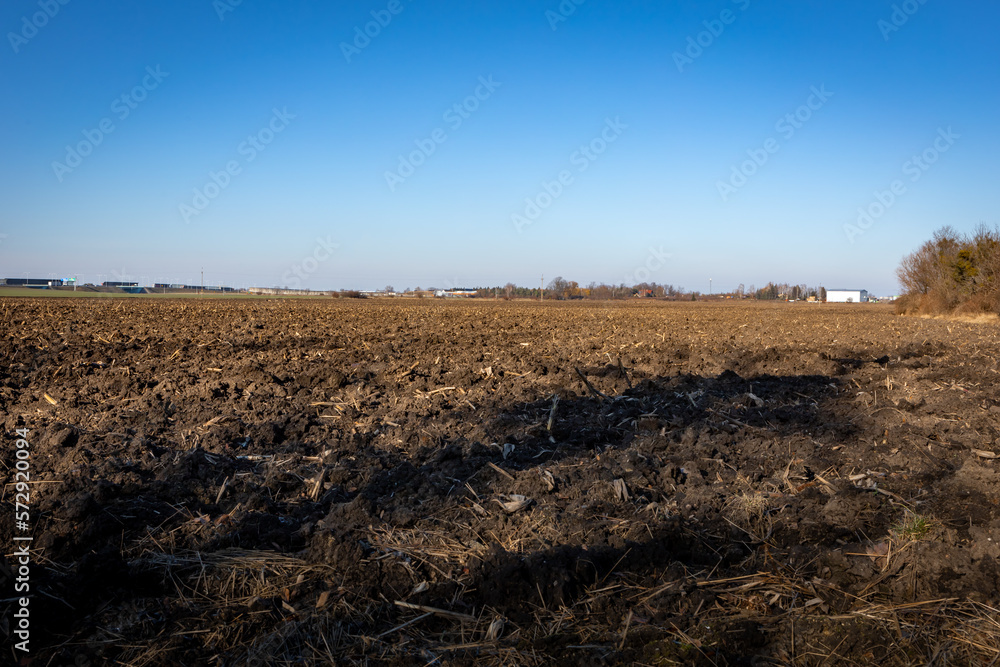 Fototapeta premium Agricultural field with bare soil in wintertime in Poland. Blue sky, sunny day. 