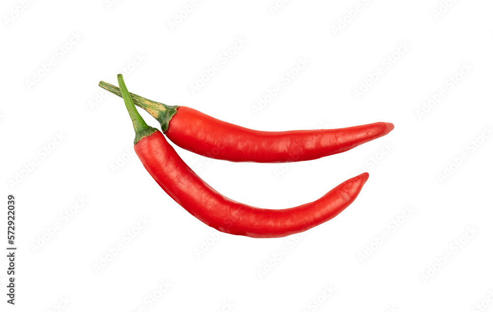 Two red chili paper isolated