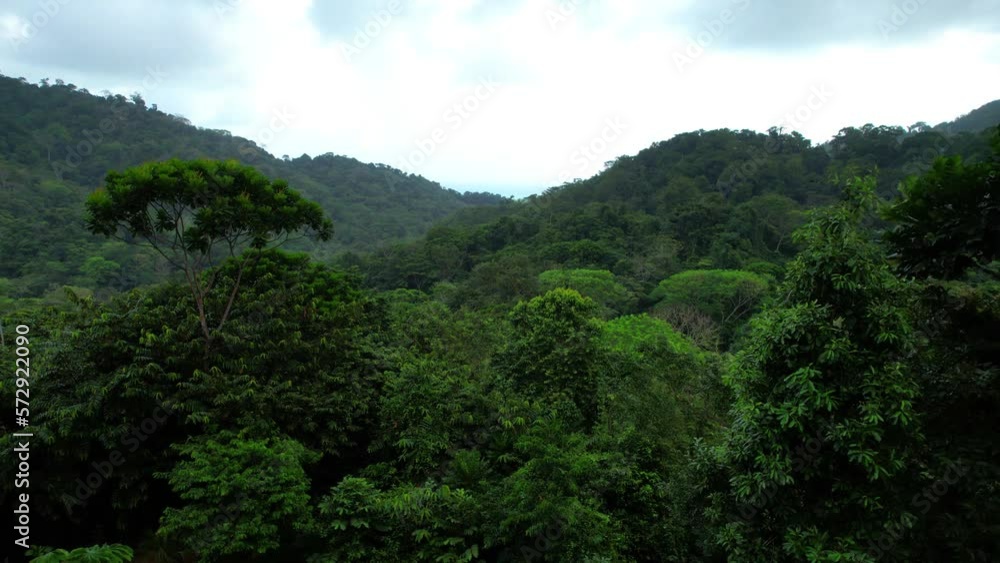 Aerial view of the jungle in Capurgana, Colombia Aerial view of the jungle in Capurgana, Colombia