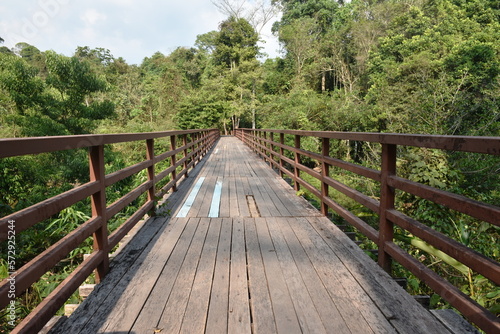 Fototapeta Naklejka Na Ścianę i Meble -  wooden bridge cross little canal in mangrove forest