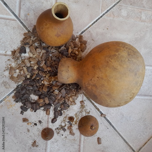 gourd with seeds symbolizing nature photo