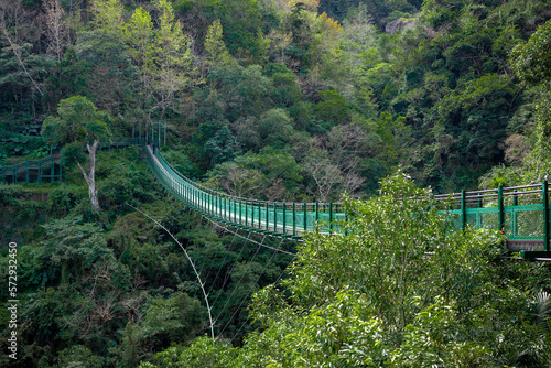 A long green suspension bridge spans a forested canyon. It's a sunny day on the Walami Trail in Yushani National Park in Taiwan near Yuli.
