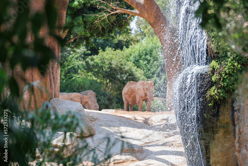 Elephants in the Background and a Small Waterfall in the Foreground
